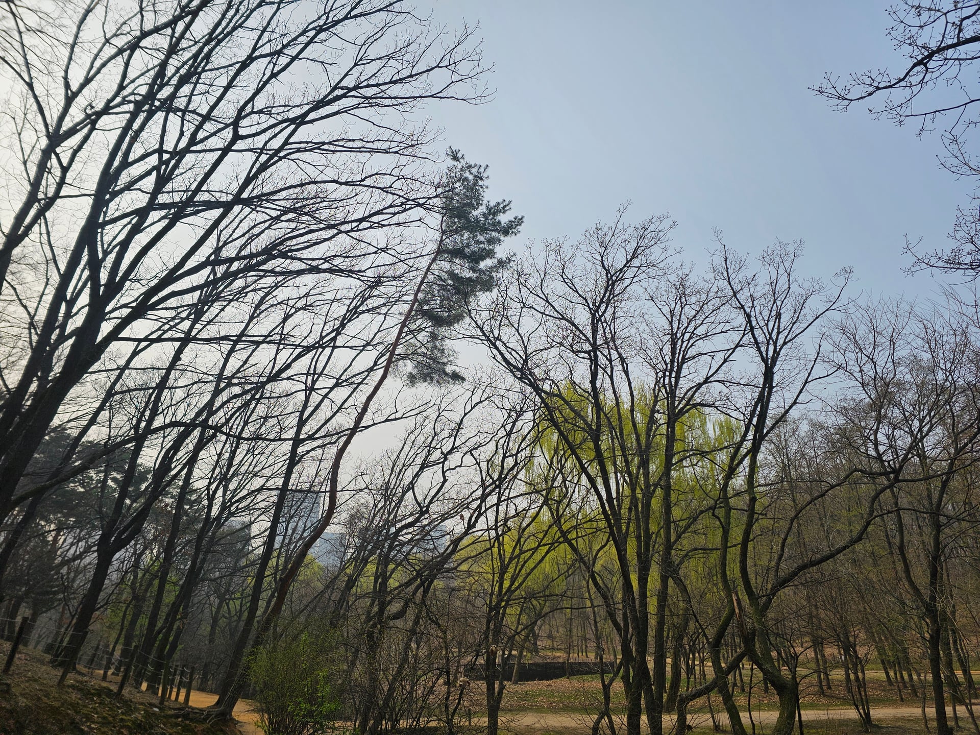 산책길